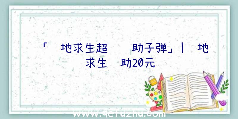 「绝地求生超级辅助子弹」|绝地求生辅助20元